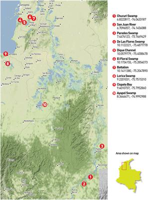 Applications of eDNA Metabarcoding for Vertebrate Diversity Studies in Northern Colombian Water Bodies